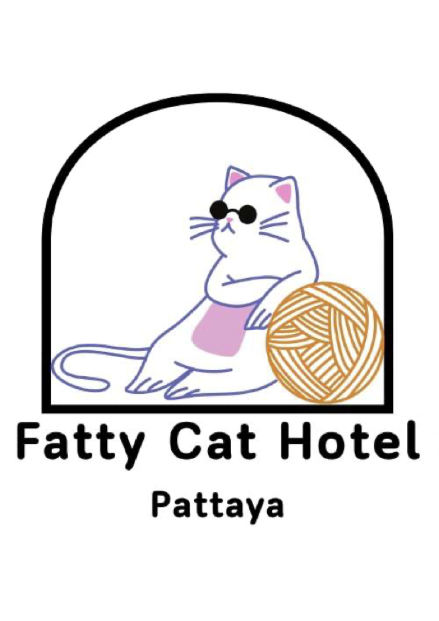 Fatty Cat Hotel Pattaya